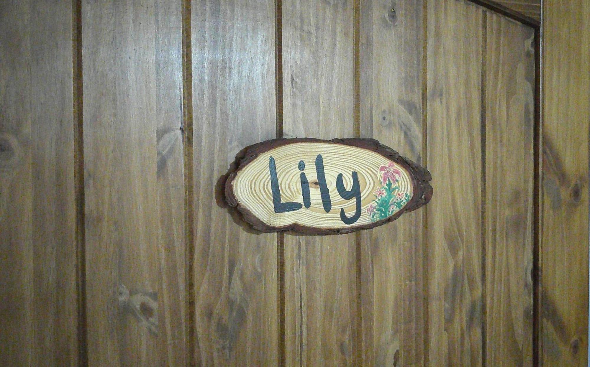 Lil Black Bear Inn Nashville Exterior photo
