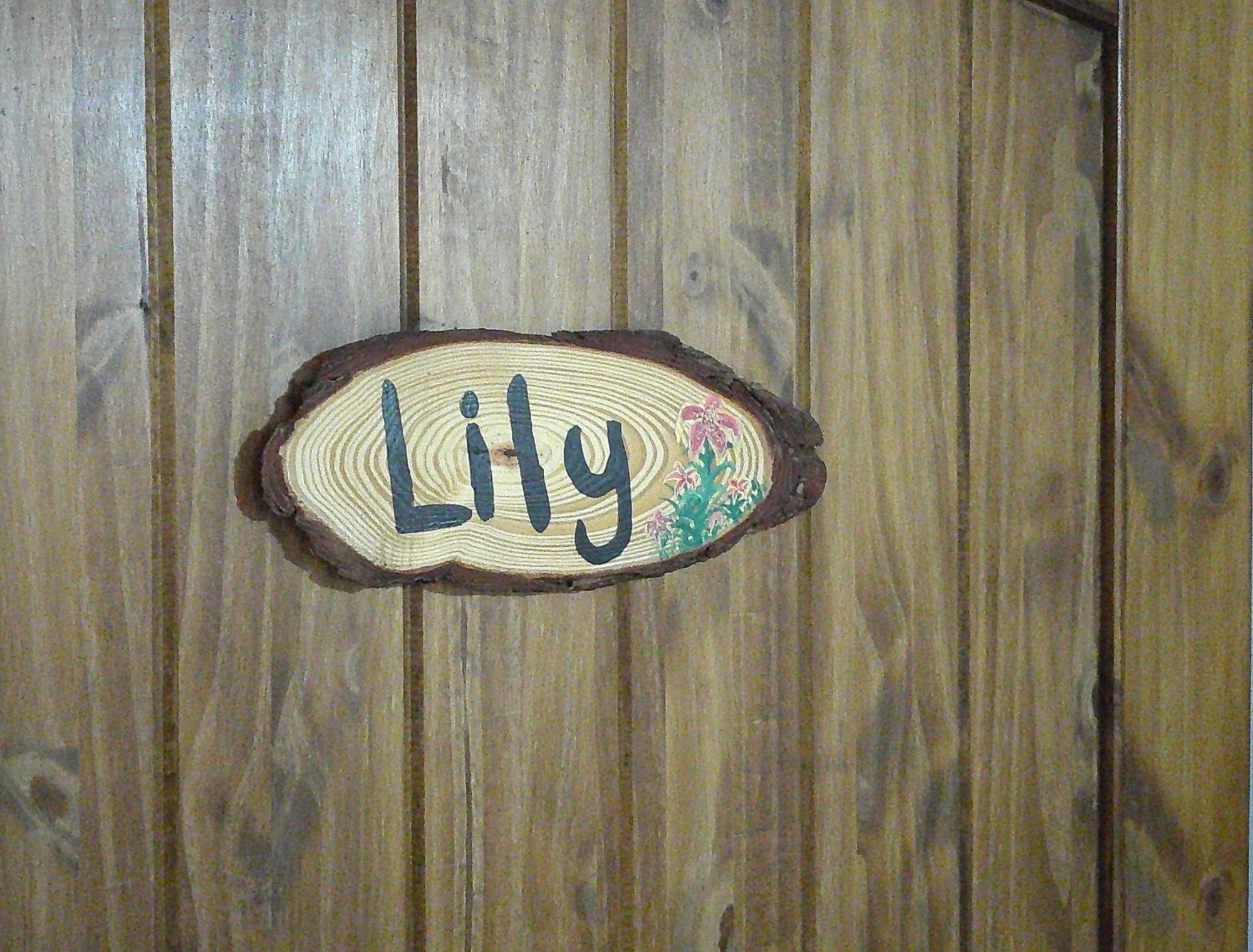 Lil Black Bear Inn Nashville Room photo